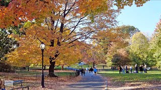 [4K] Central Park with Fall Foliage - Virtual Walking Tour in New York City