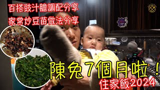 【陳兔7個月啦】百搭豉汁膽 調配分享豉汁排骨 我的家常炒豆苗做法分享頻道回顧 2024年展望