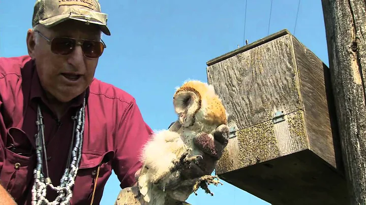 Steve Simmons - Flying M Ranch, Merced