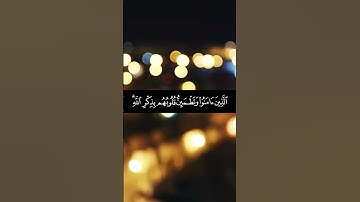 الذين آمنوا وتطمئن قلوبهم بذكر الله. سورة الرعد.القارئ: #سعدالغامدي #قرآن #تلاوات#تلاوة_خاشعة #quran