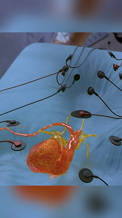 🧪👁️ The Invisible Man’s Deadly Transformation | Hollow Man (2000) ⚠️💉