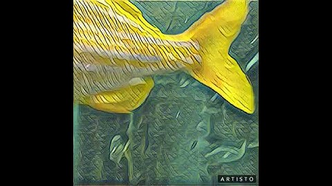 How to make an animated NFT