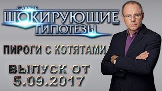 Самые шокирующие гипотезы с Игорем Прокопенко. Выпуск от 5.09.2017. Пироги с котятами