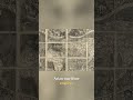 Ancient Asian Maritime Empires: Building Global Economy #shorts
