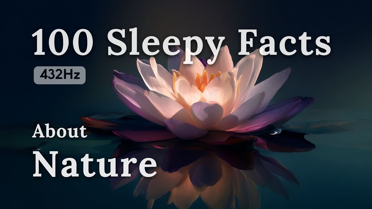 The Most Relaxing Nature Facts to Fall Asleep To