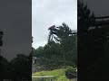 Oblivion at Alton Towers - World's first B&M Dive Coaster