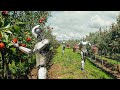 Heres how robots will replace farmers in the next 10 years