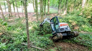 Steep Creek Bank Forestry Mulching