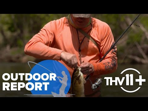 فيديو: أفضل مواقع الصيد في أركنساس