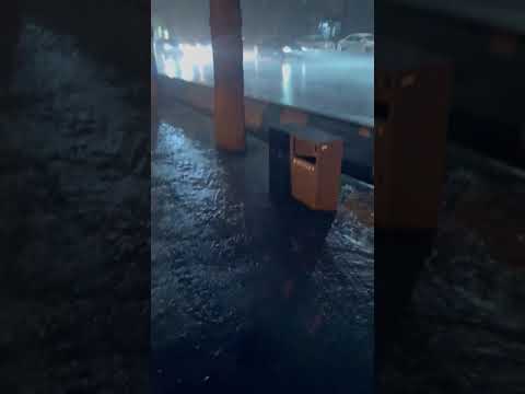 Дождь в Алматы