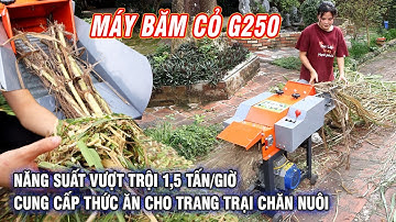 Máy Băm Cỏ G250 - Năng Suất Vượt Trội 1,5 Tấn/Giờ, Có Băng Tải Tự Động Giúp Bà Con Nạp Liệu Dễ Dàng