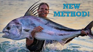 5 Days Of Surf Fishing Giant Roosterfish
