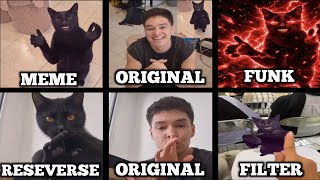Cat Clapping Hand Meme Vs Original Vs Funk Vs Reverse Vs Filter 😂