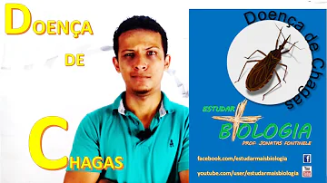 Como evitar a presença do barbeiro?