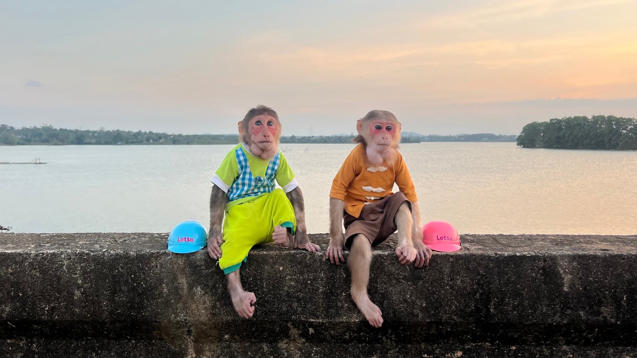 Cubis and Luk Enjoy a Peaceful Lakeside Walk and Snack Time with Dad🎉