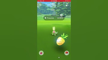 Catching a wild 100% iv Treecko in the wild! #shorts