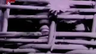 Yılmaz Güneyden Aşk Â.