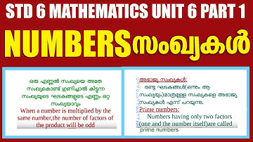 STD 6 Mathematics Unit 6 |Numbers Part 1 |Kite Victers STD 06 Mathematics Worksheet
