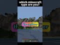 Which type of minecraft are you?