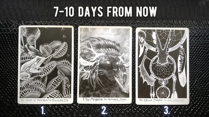 Pick A Card - 7-10 Days From Now