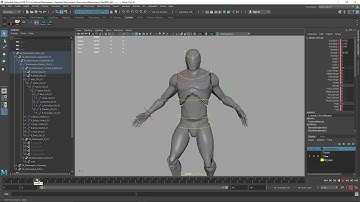 21 Range of Motion Animation A