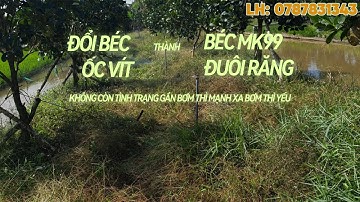 Review hệ thống tưới tự động đổi từ béc ốc vít thành béc mk99 đuôi răng
