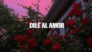 Video thumbnail of "Dile al amor-Aventura (lyrics/letra)"