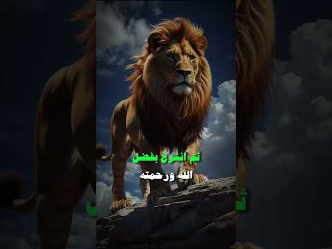 كلمات تهز القلب خواطر راقية ونصائح تغير حياتك