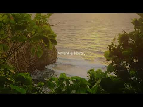 antent & nectry - places we'll go (album teaser)
