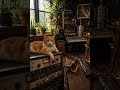 YoJuno - Orange 🍊 art is in the mix! (lofi,chill,ambient) #lofi #lofimusic #lofibeats #lofichill