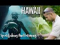 Hawaii Spearfishing and Taro Farming to Live Off The Land!!