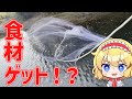【ゆっくり実況】野生の食材で作るペペロンチーノ【ゆっくり料理】【ゆっくり解説】