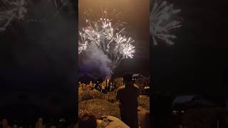 Fireworks  at Jerudong Gardenshortsbrunei shortsfeed ytshort jerudongtamil bruneidarussalam