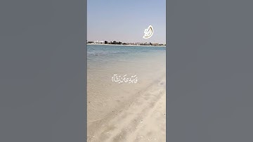 #سورة_يونس #القارئ_الشيخ_محمود_الوليد #تلاوة_خاشعة #قرآن