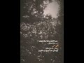 مله حيدر اللامي