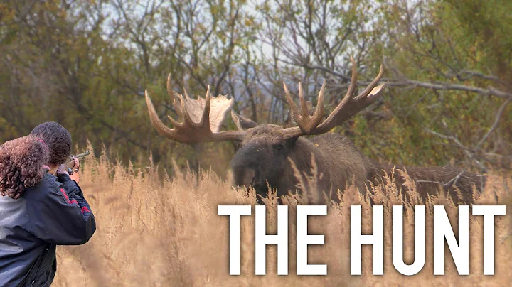 Calling in Alaska BULL Moose | Fall Family Hunt