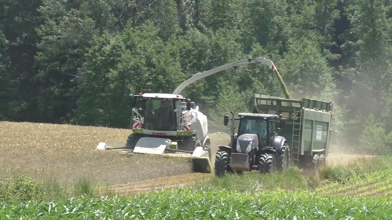 GPS Häckseln mit Claas Jaguar 970 CLAAS Direct Disc 610 LU Hannes Hauptmann Bad Blumau beim Tritical