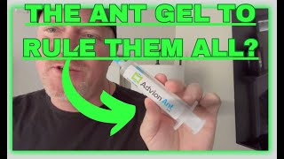 Advion Ant Gel   Scourge of Sugar Ants!