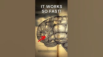 How to INSTANTLY reprogram your subconscious mind to manifest what you want