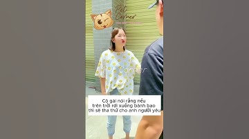 Chú chó Bánh Mì gâu đần hài hước, luôn giúp đỡ mọi người - Pet Corner