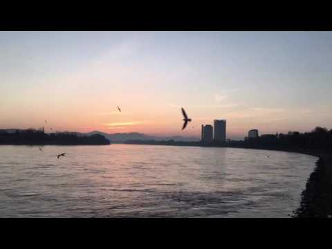 Sonnenaufgang am Rhein