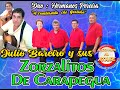 JULIO BAREIRO Y SUS ZORZALITOS DE CARAPEGUA - CD COMPLETO , DUO : HERMANOS PEREIRA , POLKA 2021