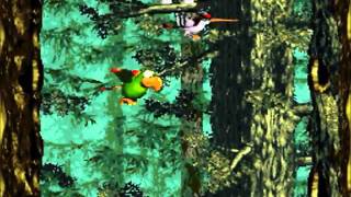 Donkey Kong Country 3 Lost World Level 4 Swoopy Salvo