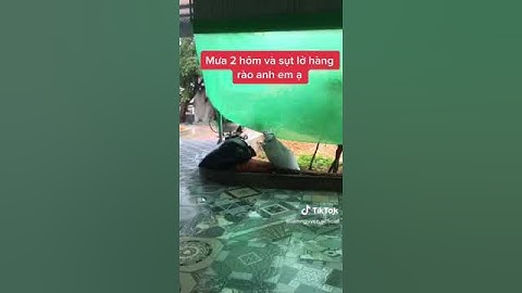 #shorts  Mưa lớn và sạt lở#ngheanquechoa #lamkaka #lamnguyen #dcgr