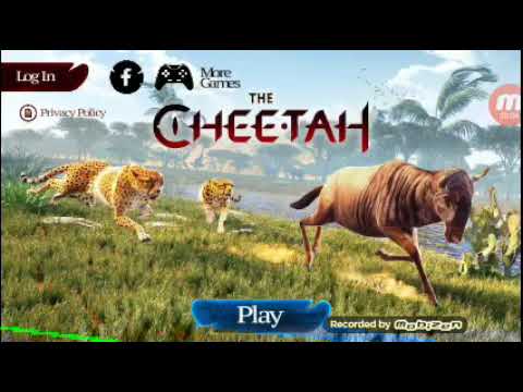 The Cheetah game free account