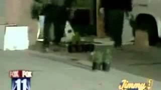 Firefighters tackle blaze of weed