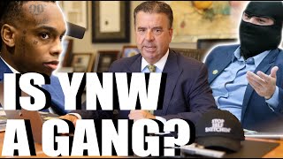 Gang Expert Must Remove the Mask &amp; Reveals Melly&#39;s Gang Ties | Criminal Lawyer Melly Update