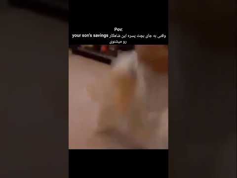 برادر زندگی را برد میم فارسی   