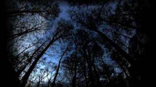 Agalloch - Limbs