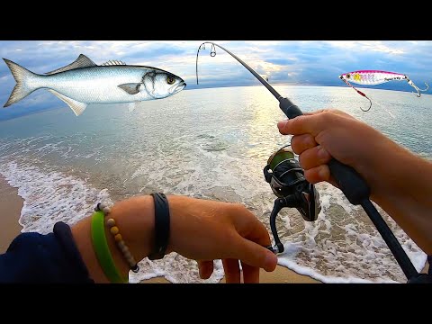 Video: Pesca A Spinning